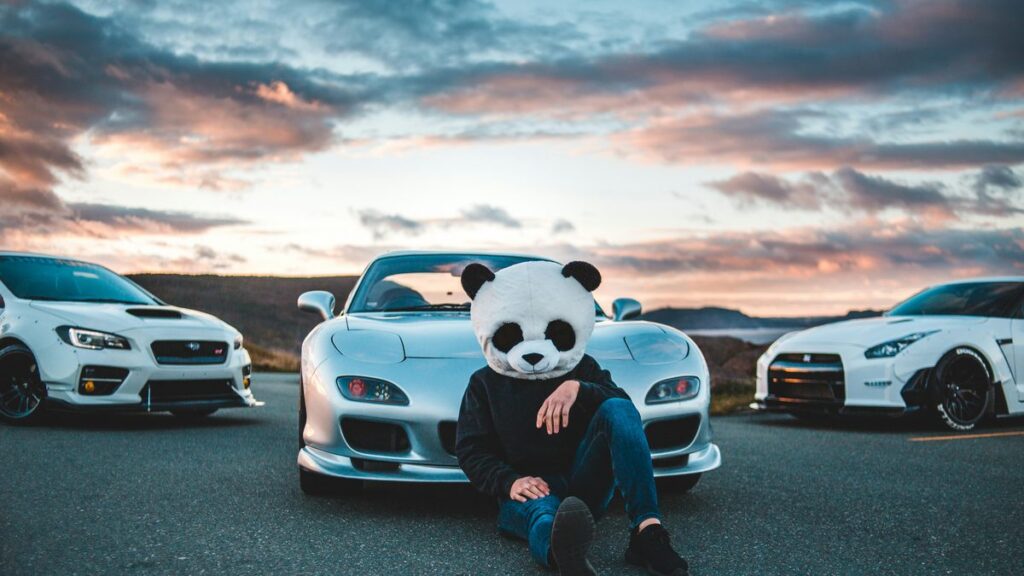 person wearing panda bear mask sitting beside silver vehicle